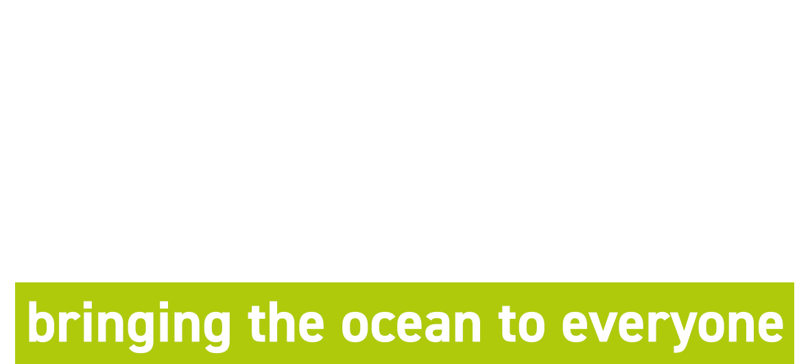 Swim VR